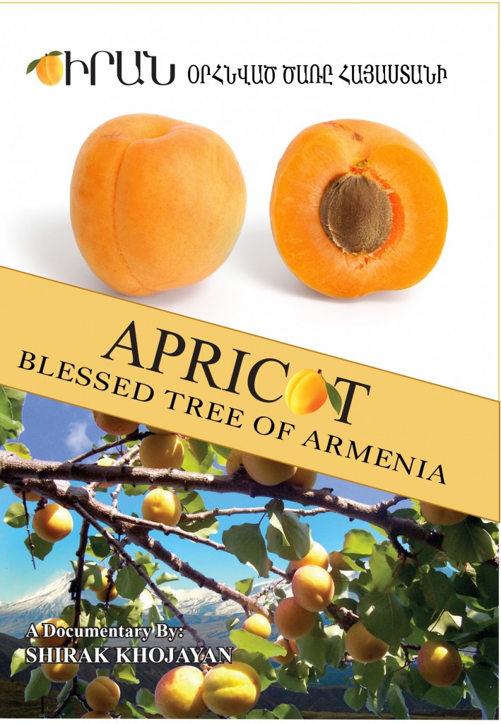 poster Apricot Blessed Tree of Armenia