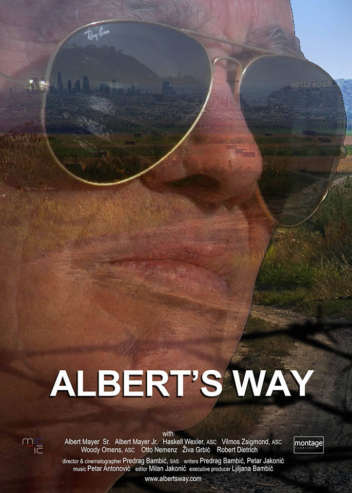doc_alberts-way_poster